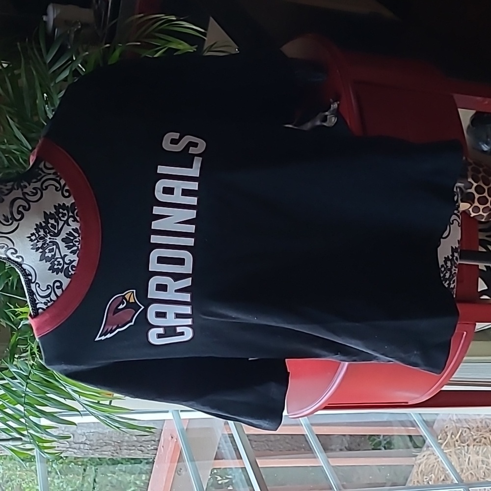 Cardinals Crop Top